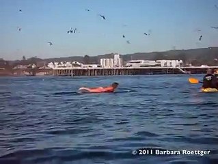 Wow!!! Imagínate estar en el agua y que te pase esto!!