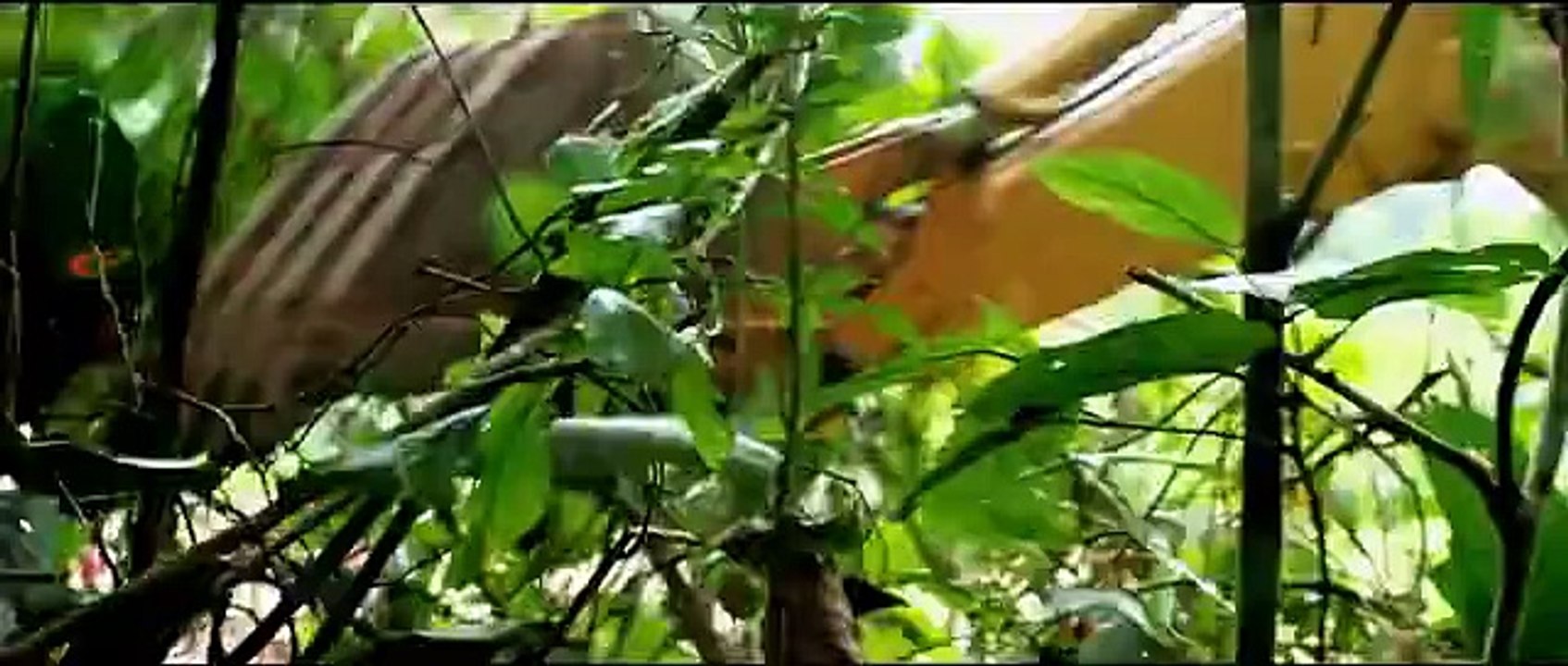 The Green Inferno Official Trailer #1 (2015) - Eli Roth Horror Movie HD