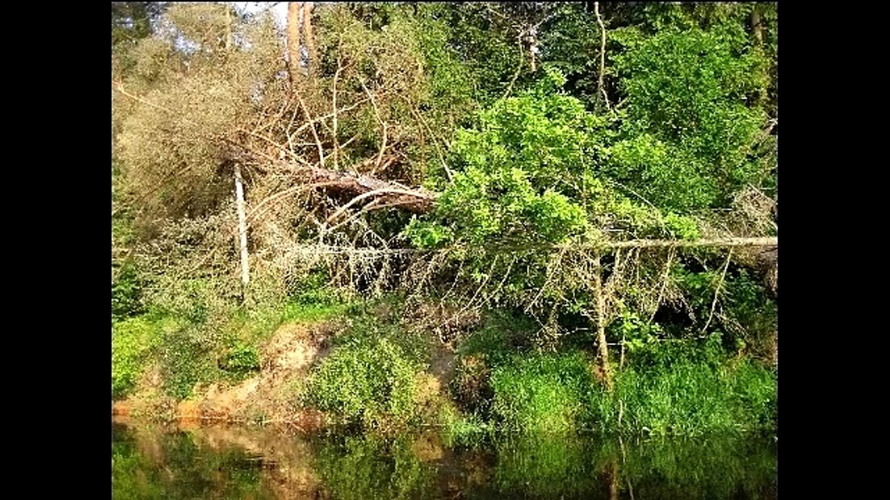 Хорошее настроение