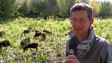 Terres de France saison 3 - Magazine du 11 octobre 2015