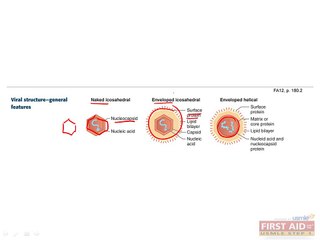 Microbiology Virology Part 1