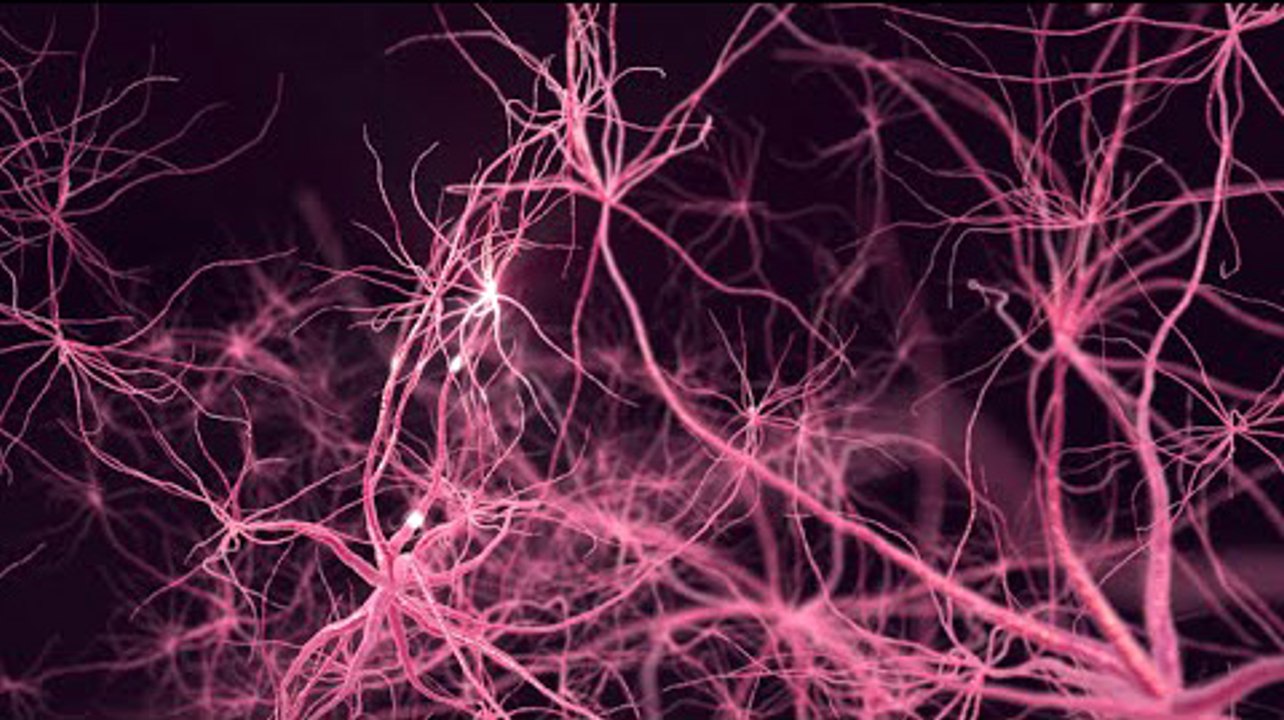 SwiftKey Neural - the world s first neural network keyboard