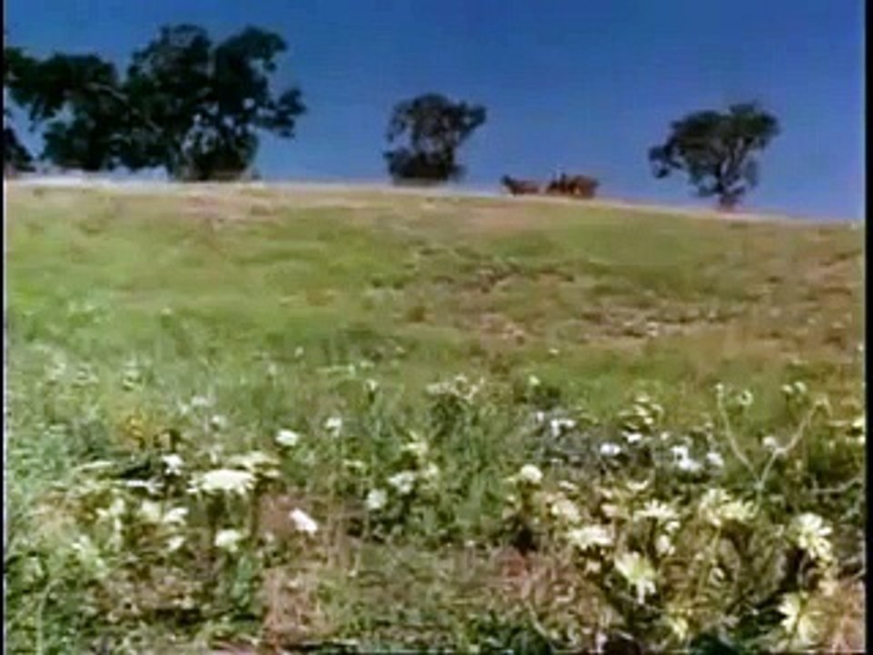 du petit bois pour les Ingalls