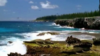 Walking with Dinosaurs Episode 3: Cruel Sea