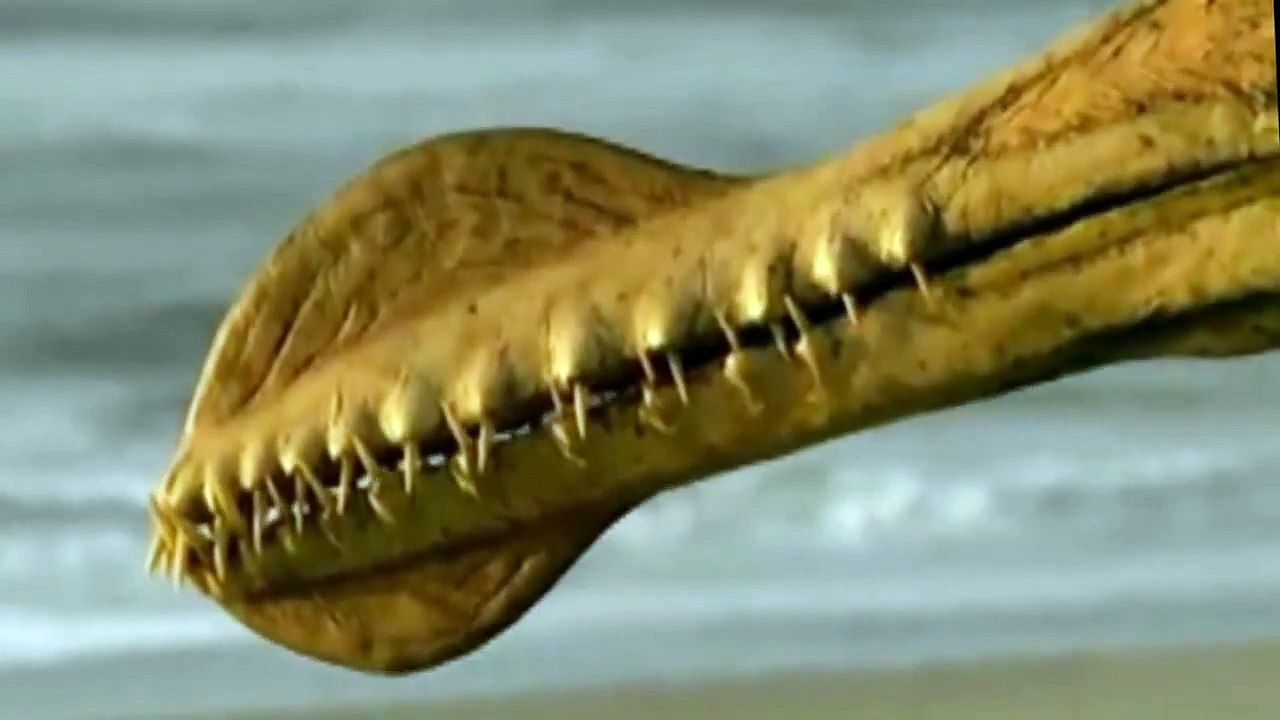 Walking With Dinosaurs Episode 4: Giant of the Skies