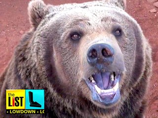 Can You Guess the #1 Fear in America?