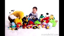 Worlds Biggest Angry Birds Fan Stop Motion Collection