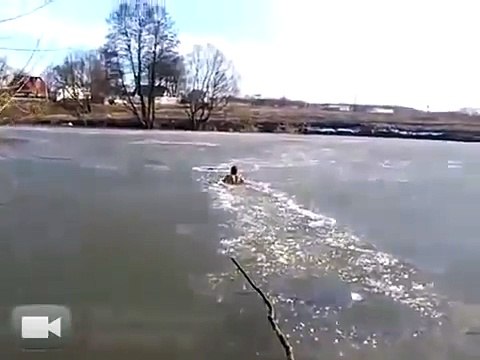 Il Suo Cane Sta Annegando In Un Lago Ghiacciato Ciò Che Fa è Oltre Ogni Immaginazione.