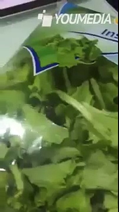 INCREDIBILE Rana viva trovata in una confezione di insalata
