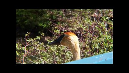 LYNDE SHORES CONSERVATION PARK