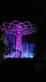 Albero EXPO con spettacolo