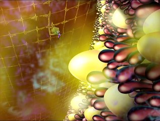 Oggy and the Cockroaches Golden Eggs (S03E17) Full Episode in HD