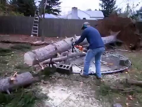 Дерево вернулось на свое место во время его нарезки!!