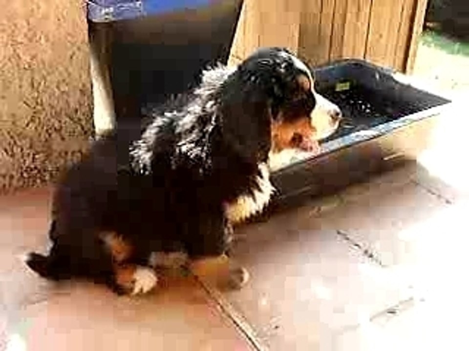 ou ça vous chatouille?