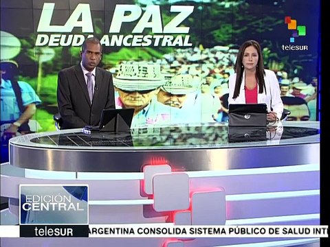 Colombia: presentan informe sobre cese unilateral al fuego de FARC