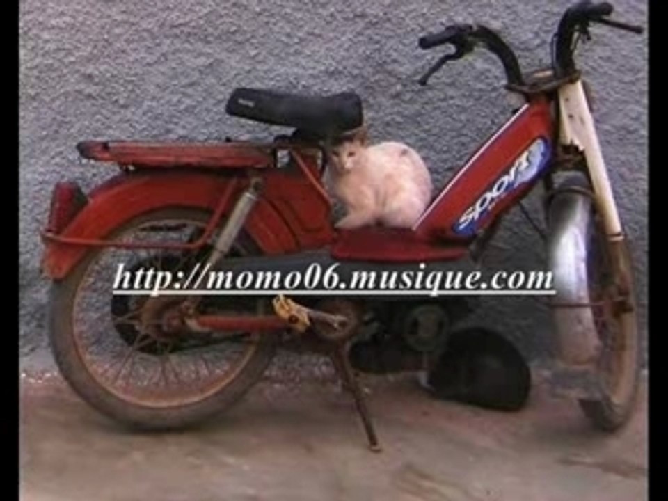 tinghir tinghir en force