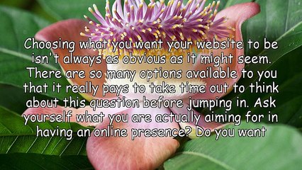 How To Choose The Right Website For You