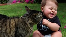 Cute cat & baby compilation - Funny cats and babies playing together
