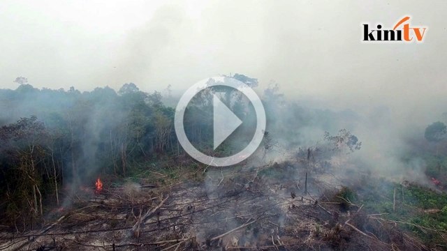 Video drone kebakaran hutan di Indonesia