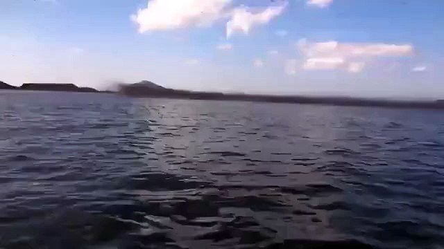 Миграция москитов - это просто жесть