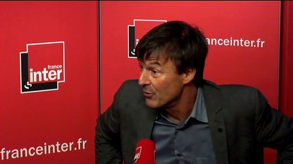 Nicolas Hulot : "La COP21  est un moment clé pour l'humanité"