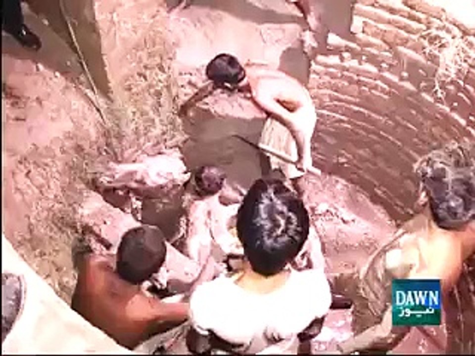 What Happend with This Big Camel