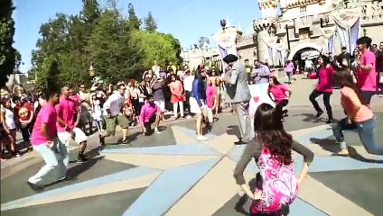 Best Proposal EVER Disneyland Punjabi-videosmunch