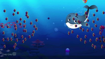 Blue Whale Nursery Rhyme - ChuChuTV Sea World - Animal Songs & Nursery Rhymes For Children