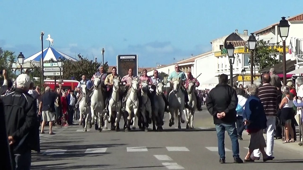 Gardians dirigeant des taureaux dans les rues des Saintes