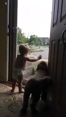 When cute baby and puppy see their daddy coming home