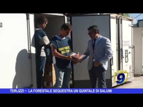 TERLIZZI | La Forestale sequestra un quintale di salumi