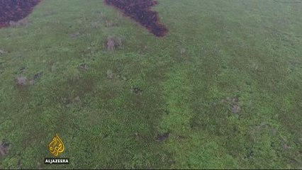 Toxic forest fires choke parts of South East Asia