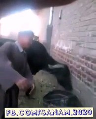 اب تو بھینسو نے بہی ڈانس کرنا شروع کر دیا ہے