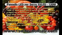 the best Grow Light LED 120W hydroponic    illuminazione LED per Serra 55 LED   120W coltivazioni anche idroponica