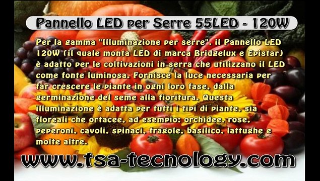 the best Grow Light LED 120W hydroponic illuminazione LED per Serra 55 LED 120W coltivazioni anche idroponica