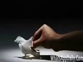 Amazing Art Must Watch