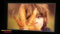 Magical Autumn Portraits with Kids - SONBAHARDA ÇOCUKLAR