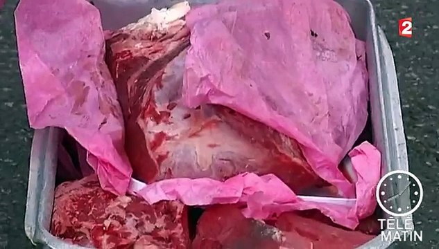 Un trafic de viande de cheval avariée démantelé dans le sud de la France