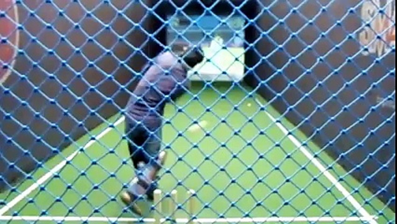 Playing Cricket Against International Player Virtually