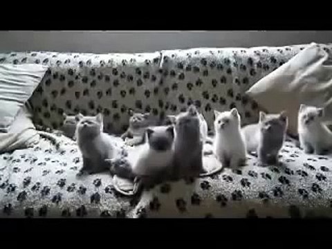 10 минут смеялся