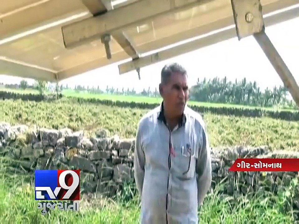Farmer embraces solar, cuts power bill , Gir-Somnath - Tv9 Gujarati