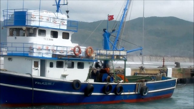 AMASRA DEV DALGALAR