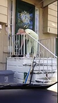 Voici la vidéo de la mamie qui a eu plus de 03 millions de vues en l'espace d'un mois