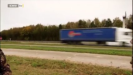 Il lâche son faucon au bord d’une route nationale