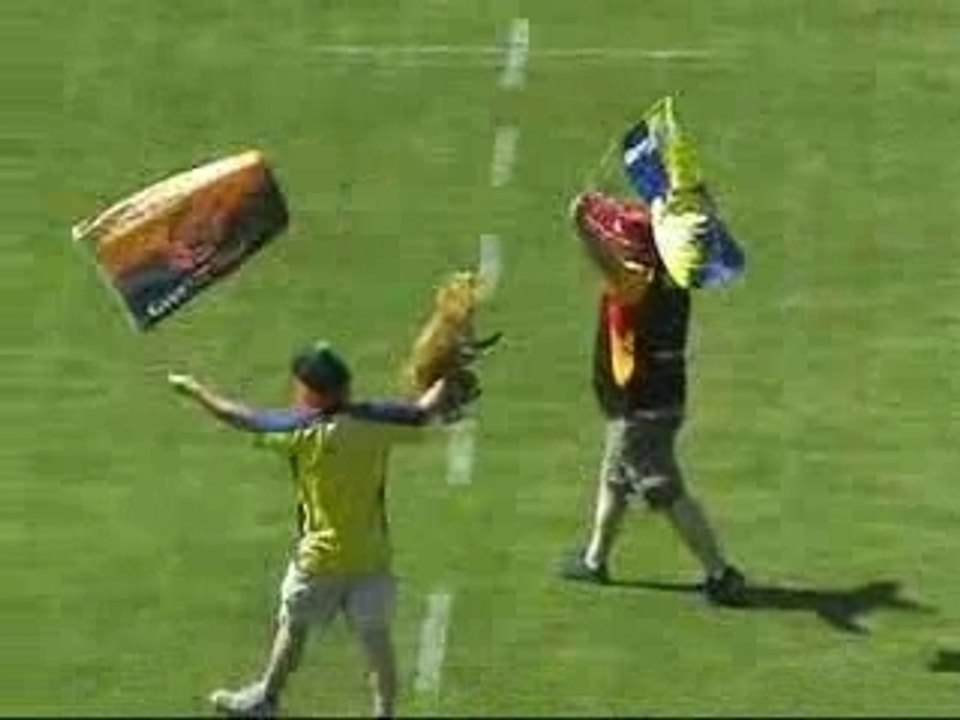 France 4 ASM - Newport renard + dragon