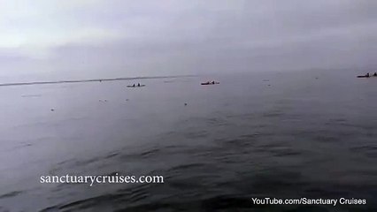 очевидное невероятное