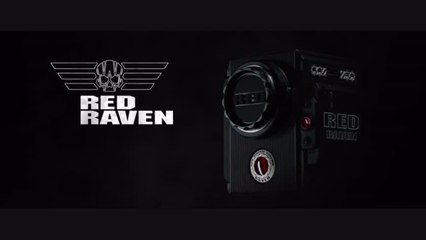 RED Digital Cinema Announces RED RAVEN™