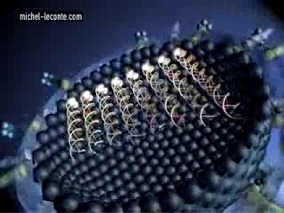 H5N1