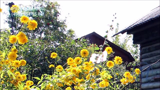 дома,дачи.ремонт перемещение