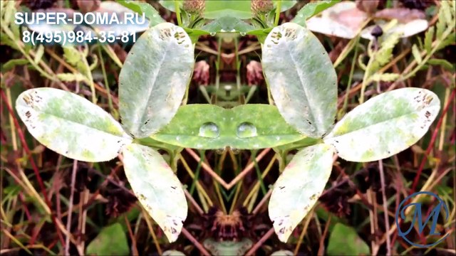 Ремонт фундамента, перемещение на новый фундамент